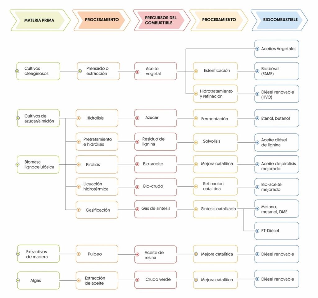 Diferentes rutas de conversión de las materias primas en biocombustibles, incluidos los convencionales y avanzados