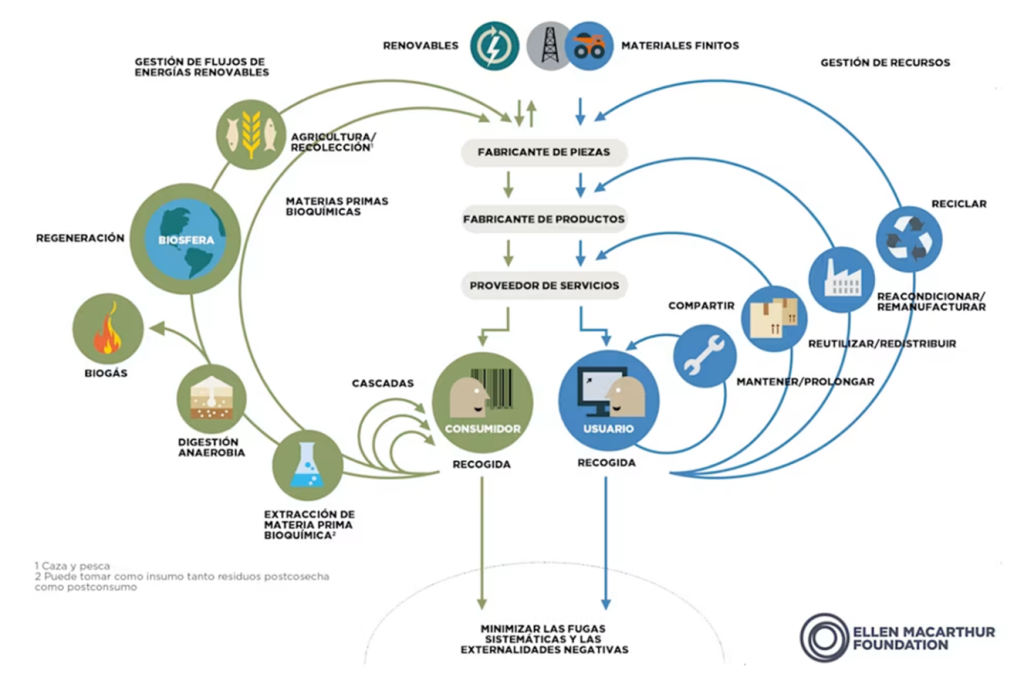 El diagrama de la mariposa: visualizando la economía circular. Circularidad portuaria